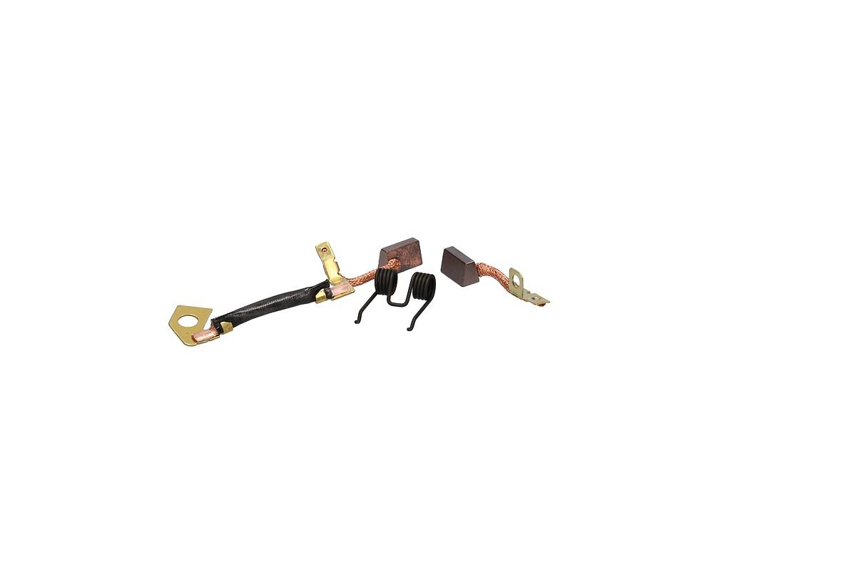 STARTER BRUSHES AND SPRINGS SET
